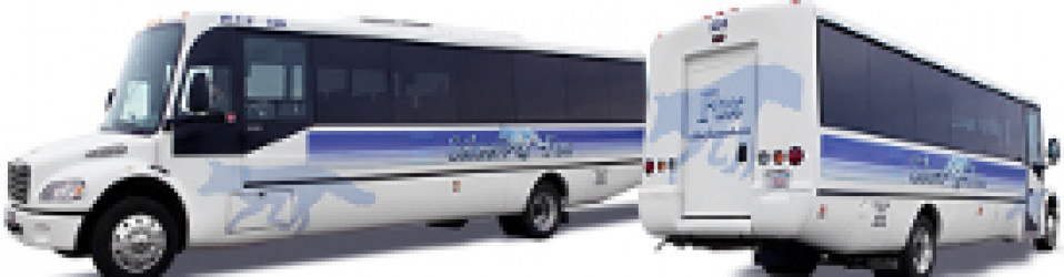 mini limo bus