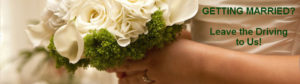 wedding limo mini bus charter rental