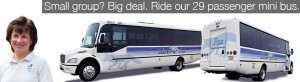 rent our mini bus for your small group party or tour